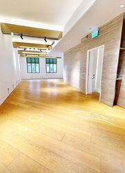 Bukit Pasoh Conservation Area (D2), Shop House #620771491
